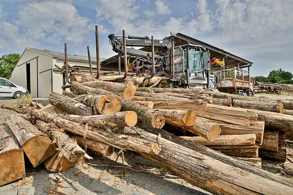 Bois de chauffage de type chataigner